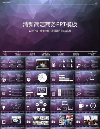 清新简洁企业介绍数据统计报告PPT模板