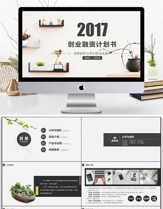 2017简约创业融资计划书