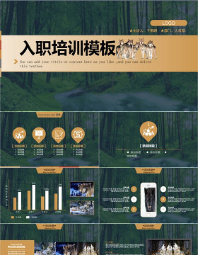 狼性企业文化入职培训团队合作PPT模板