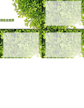 绿色含羞草PPT设计图片
