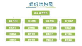 绿色组织结构PPT图表-2