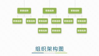 绿色组织结构PPT图表-12