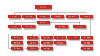 深红组织结构PPT图表-9