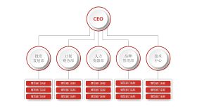 深红组织结构PPT图表-2
