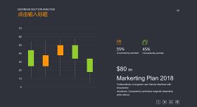 商务数据分析PPT图表之条形图-20
