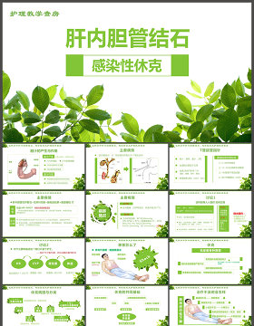 感染性休克肝胆内结石护理教学查房PPT模版