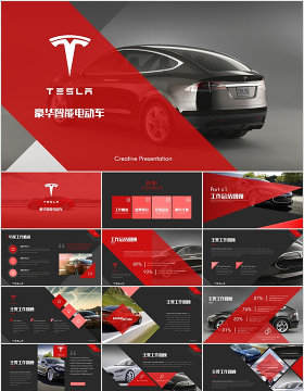 高端新能源汽车特斯拉tesla营销策划方案ppt