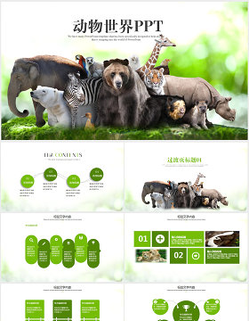 动物世界保护野生动物ppt动态模板