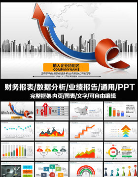 财务报表数据分析业绩报告实用公司PPT