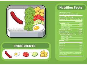  午餐食品营养成分矢量