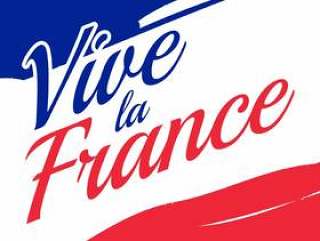 Vive La France海报