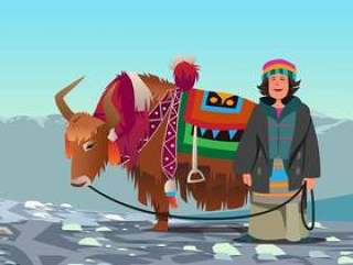 西藏女人和她的牦牛