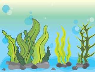 海藻例证场面水下