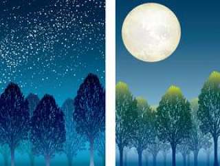 “天空之森”和“月光森林”2件