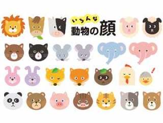 动物的脸