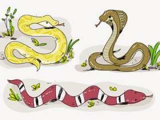 可爱的蛇卡通手绘矢量图