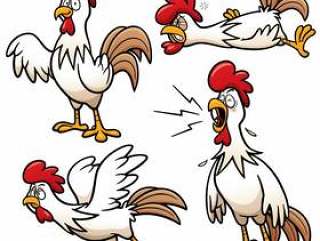 Cartoon Chicken Character