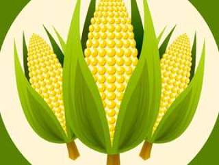 矢量玉米秸秆的插图