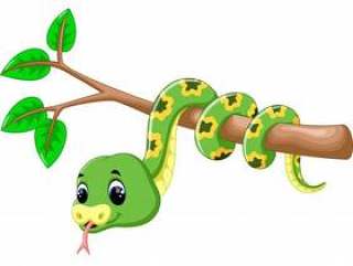 可爱的绿蛇卡通