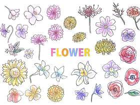 手写花卉插图集（与颜色）
