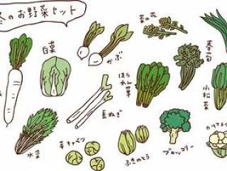冬季蔬菜集的颜色