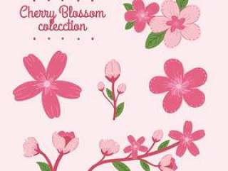 粉色樱花和花枝