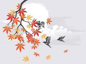 与鸟和美丽的风景背景的秋天日本枫树