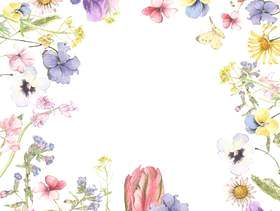 春天的花朵和蝴蝶花框架 - 框架