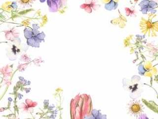 春天的花朵和蝴蝶花框架 - 框架