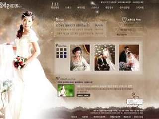 婚纱摄影网站模板(04)
