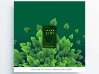 绿色自然矢量卡片封面设计与叶子
