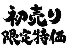 厚实的正宗系统首先销售有限的特殊价格