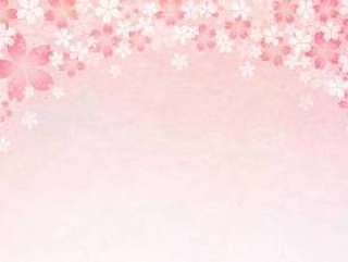 Sakura_ Washi_背景