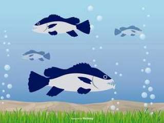 水下的插图与食人鱼