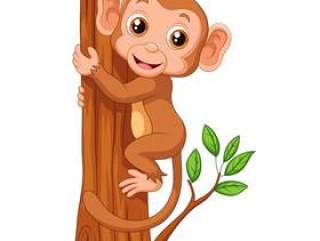 可爱的猴子抱着树