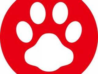 狗_ Ashita _ Hanko风格_日元