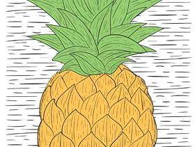 矢量手绘菠萝插画