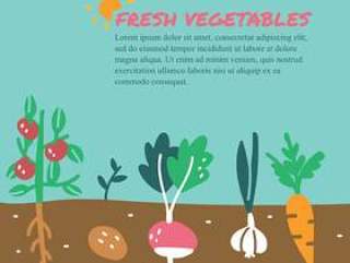 新鲜蔬菜涂鸦
