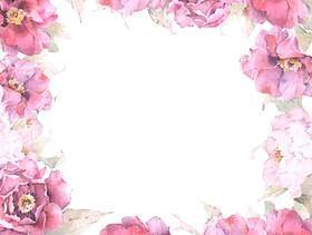绯红牡丹花框架 - 框架