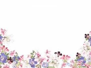 花框架 - 137 - 白百合和天竺葵花框架