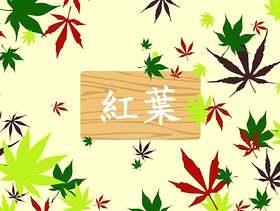 日本枫树模式 矢量