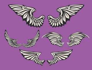 套白色的翅膀与紫罗兰色的背景