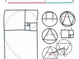 杂乱的黄金比例