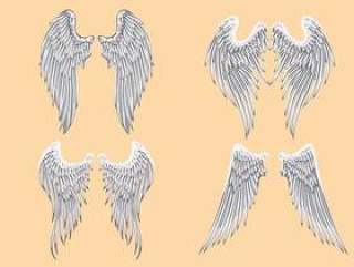 矢量纹章天使的翅膀