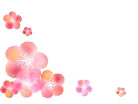 梅花框架1浅粉色