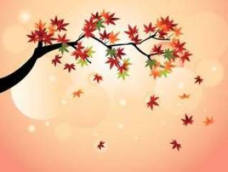 光滑的日本枫叶与秋天枫叶叶子矢量