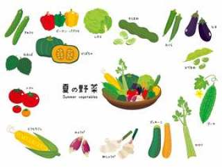夏天蔬菜