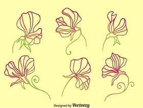 香豌豆花花集合矢量