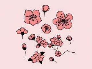 粉红色的梅花