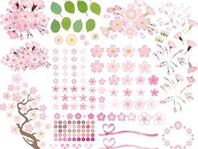 春天的花樱桃树樱花图标集粉红色的颜色